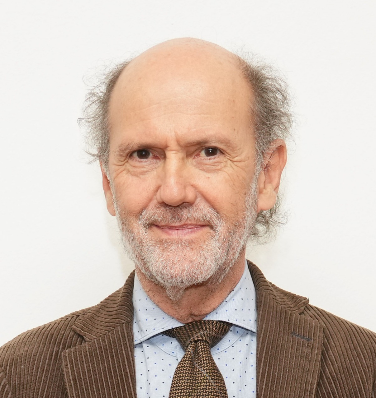 Vincenzo de Bartolomeo